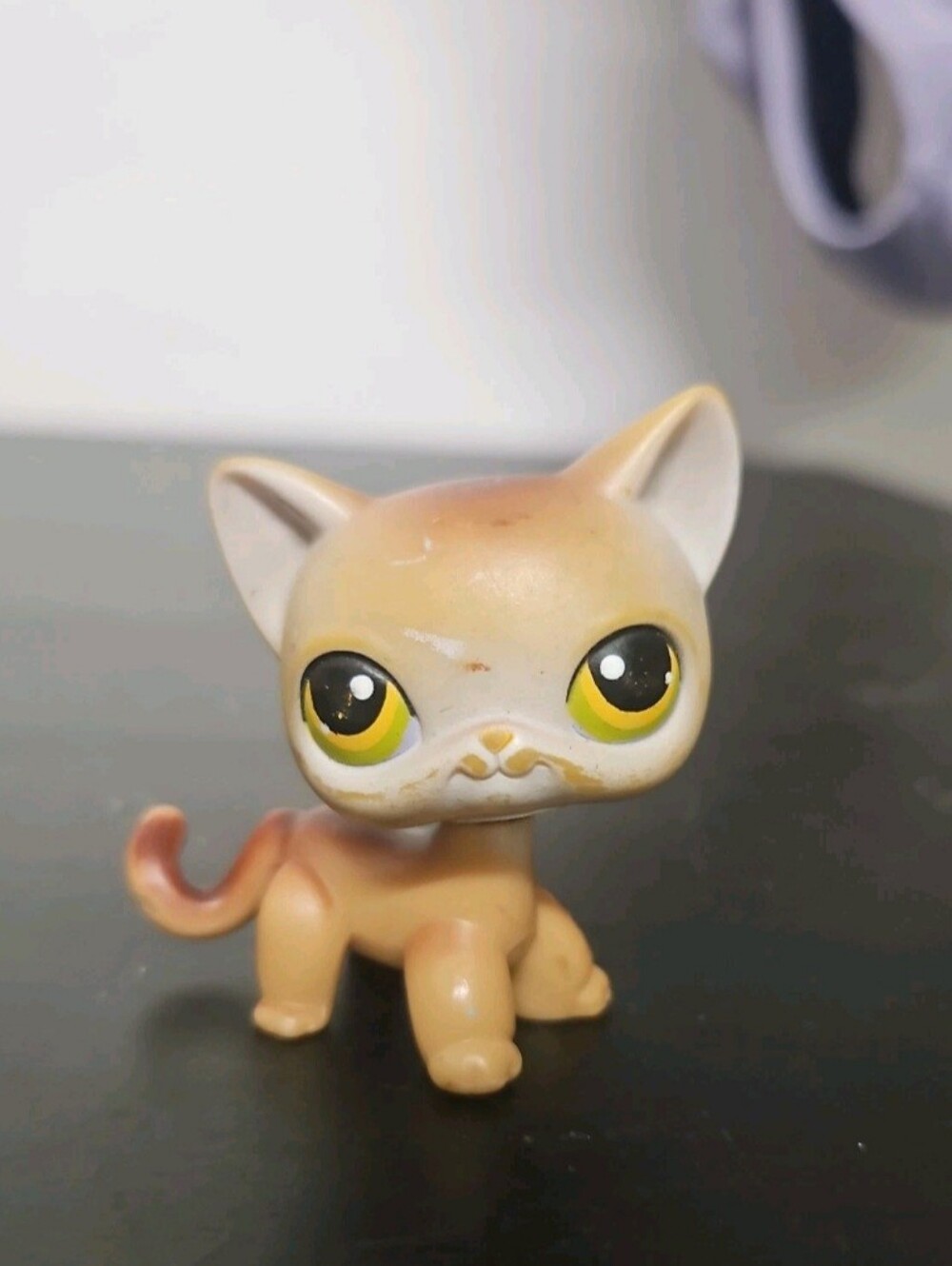 LPS shorthair Cat #19 RARE MAIN 5 PET Used